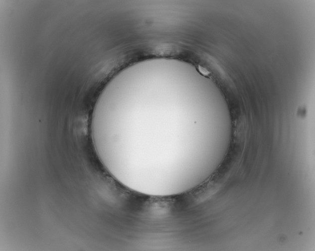 X0000090410368200707272054