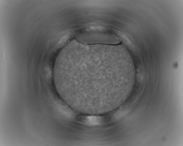 X0000090410371200707272054