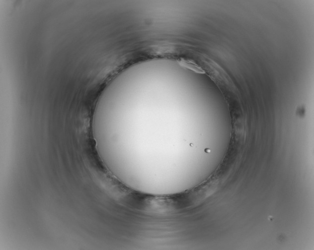 X0000090410372200707272054