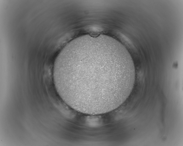 X0000090410373200707272054