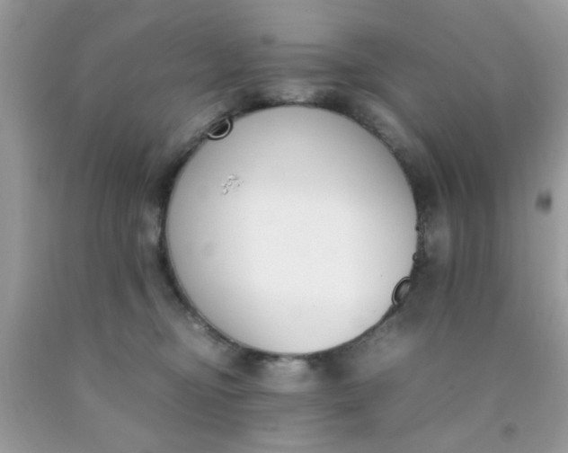 X0000090410374200707272054