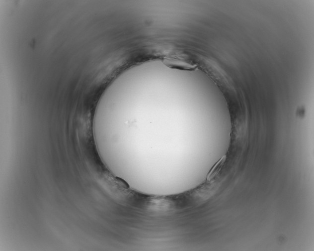 X0000090410376200707272054