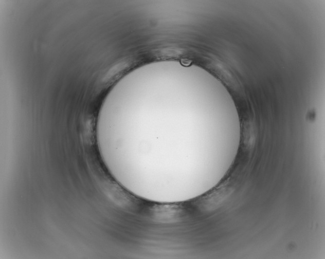 X0000090410378200707272054