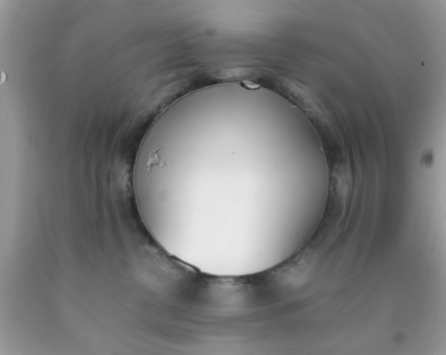 X0000090410380200707272054