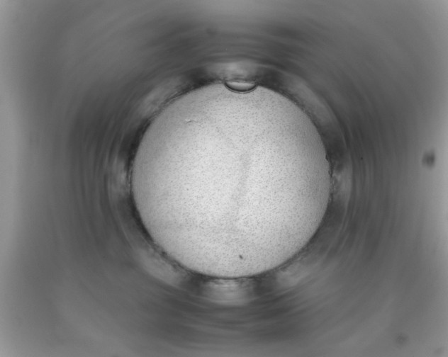 X0000090410381200707272054