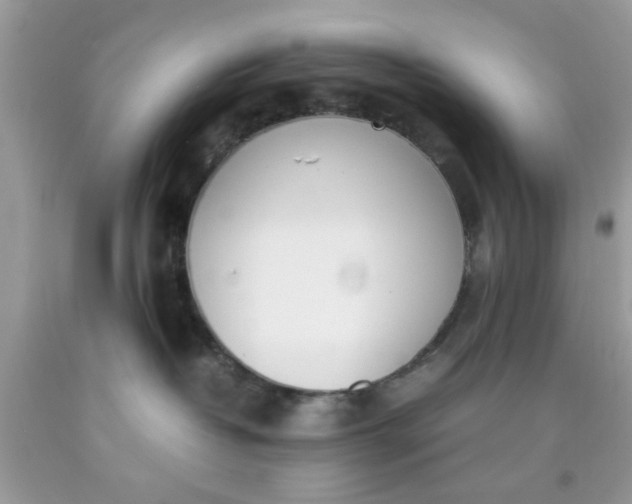 X0000090410382200707272054