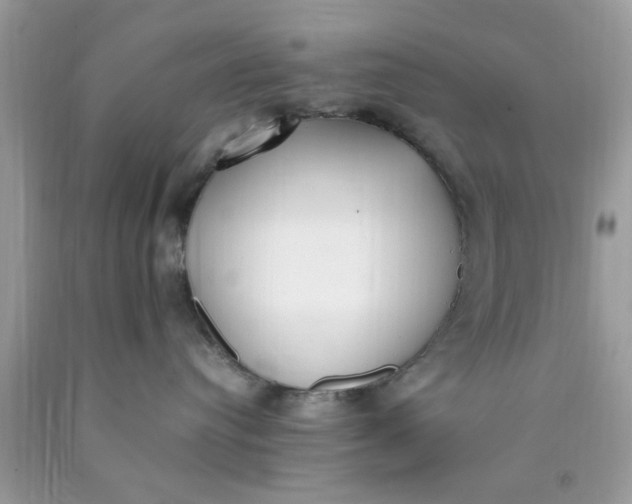 X0000090410384200707272054