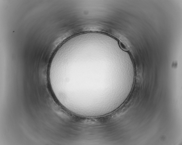 X0000090410386200707272054