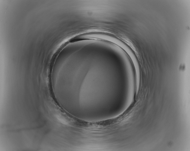 X0000090410387200707272054