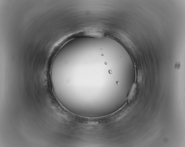 X0000090410388200707272054