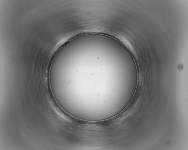 X0000090410389200707272054