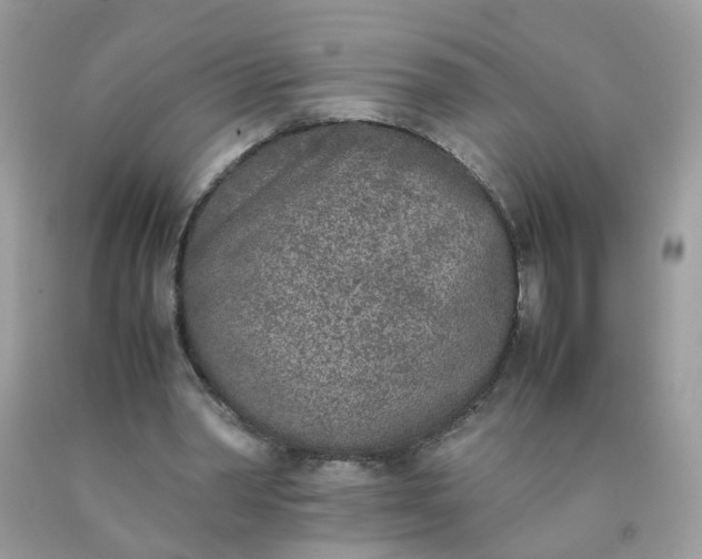 X0000090410390200707272054