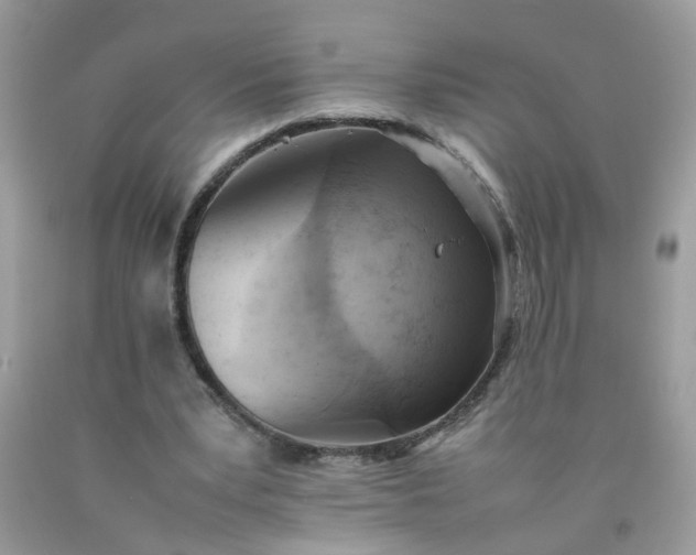 X0000090410391200707272054