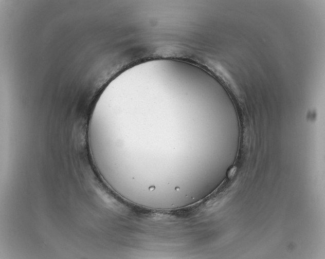 X0000090410393200707272054