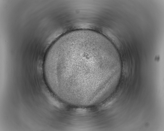X0000090410394200707272054