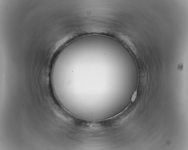 X0000090410395200707272054
