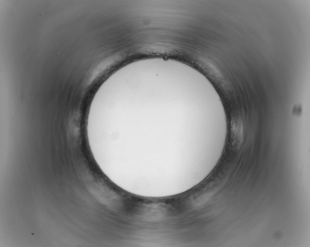 X0000090410396200707272054