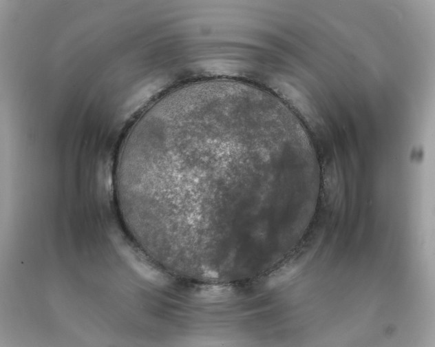X0000090410398200707272054