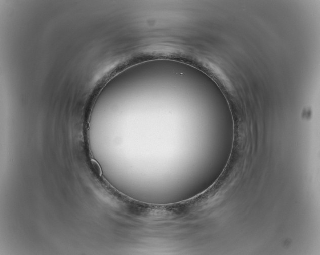 X0000090410399200707272054