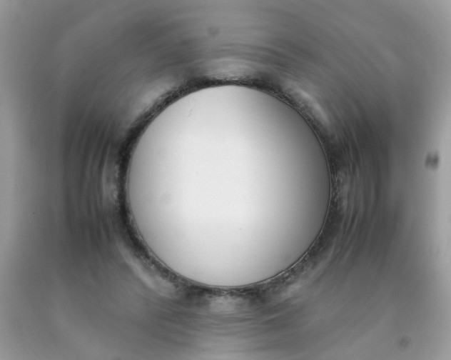 X0000090410400200707272054