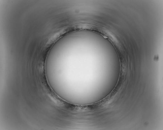X0000090410401200707272054