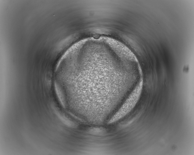 X0000090410402200707272053