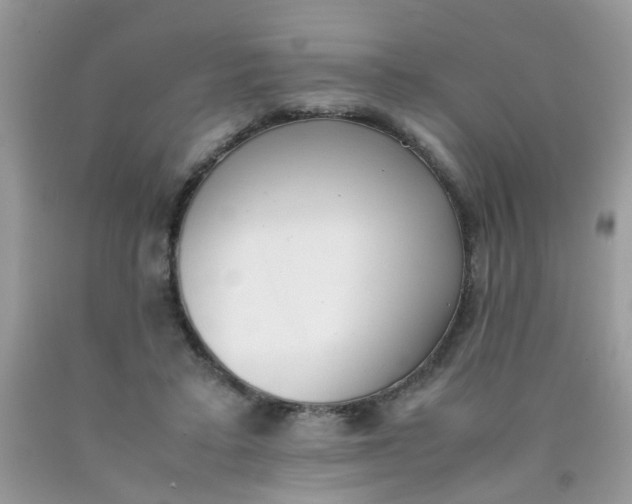X0000090410403200707272053