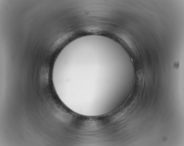 X0000090410404200707272053