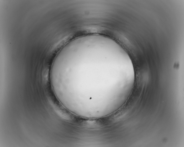 X0000090410406200707272053