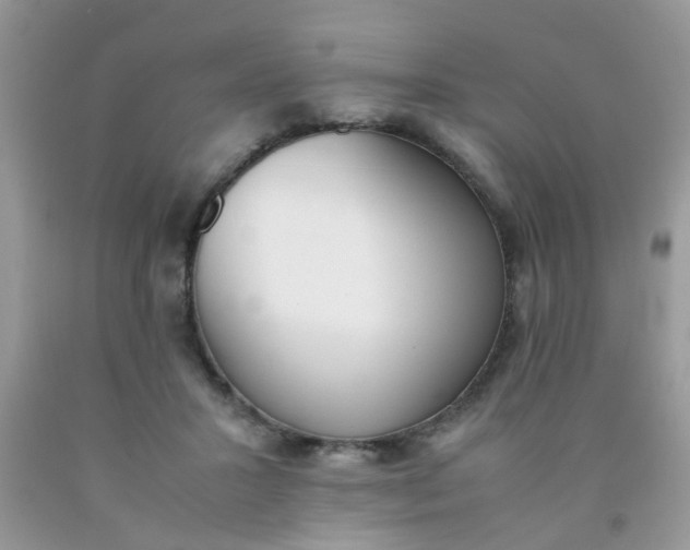 X0000090410407200707272053