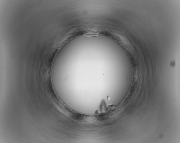 X0000090410409200707272053
