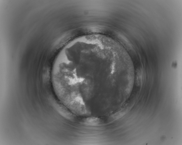 X0000090410410200707272053