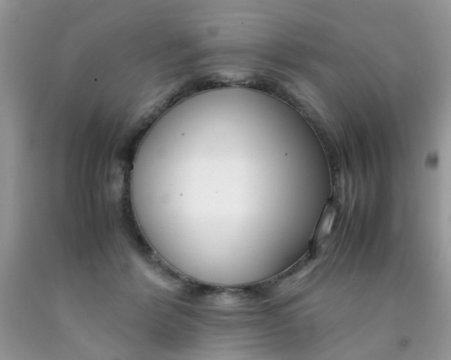X0000090410412200707272053