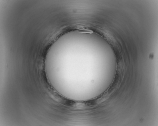 X0000090410413200707272053