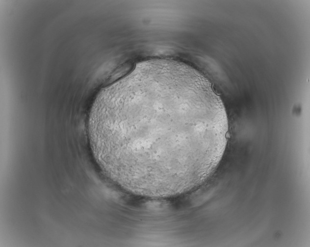 X0000090410415200707272053