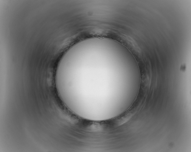 X0000090410416200707272053