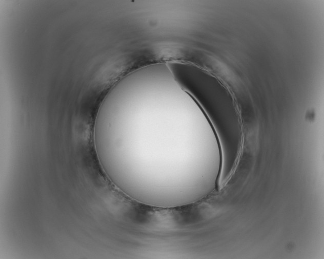 X0000090410417200707272053
