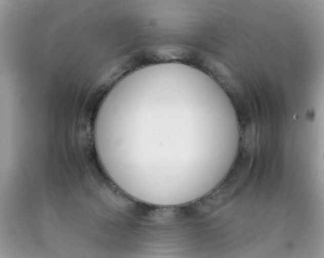 X0000090410418200707272053