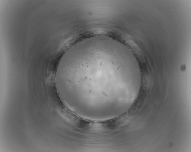 X0000090410419200707272053