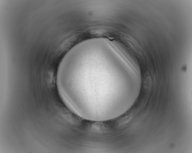 X0000090410420200707272053