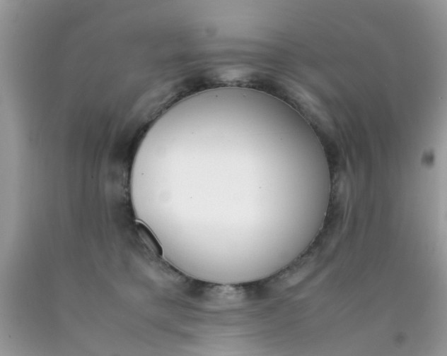 X0000090410421200707272053