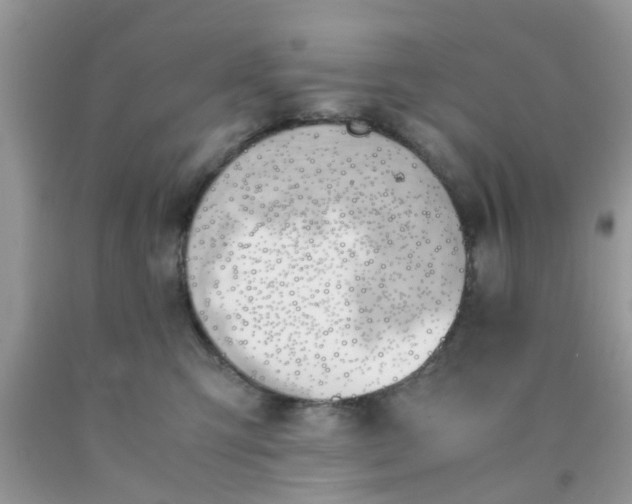 X0000090410423200707272053