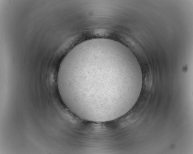 X0000090410424200707272053