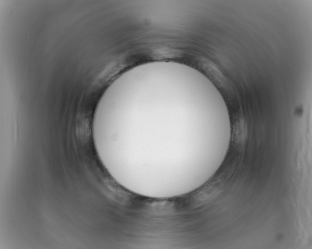 X0000090410426200707272053