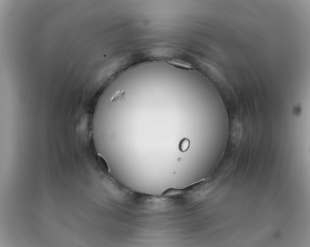 X0000090410428200707272053