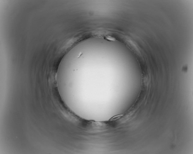 X0000090410429200707272053