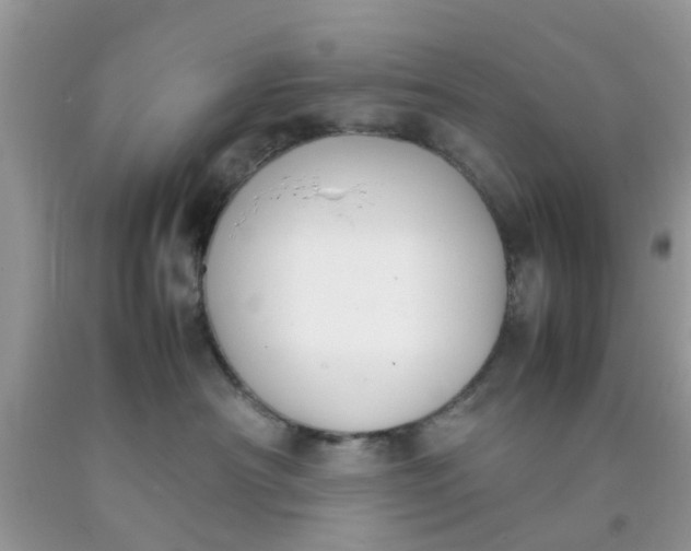 X0000090410430200707272053