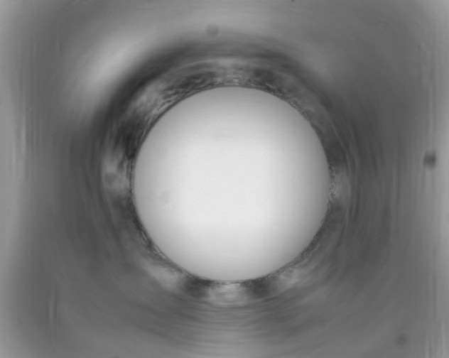 X0000090410431200707272053