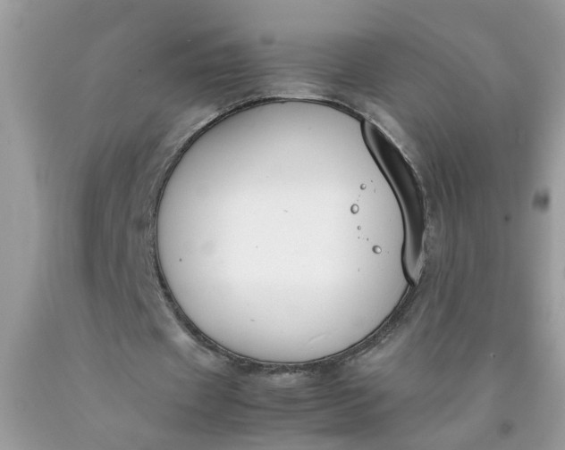 X0000090410433200707272052