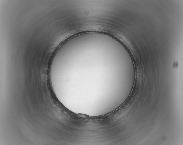 X0000090410434200707272052